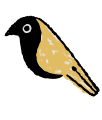 TADORI